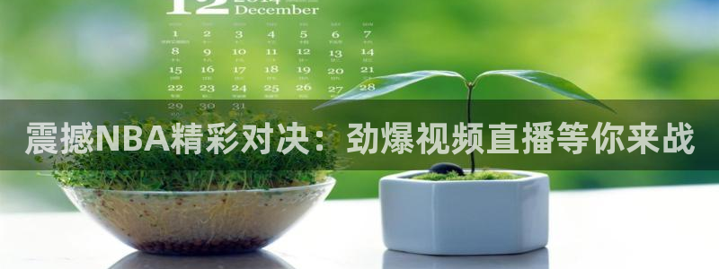 河豚体育直播免费观看：震撼NBA精彩对决：劲爆视频直播等你来战