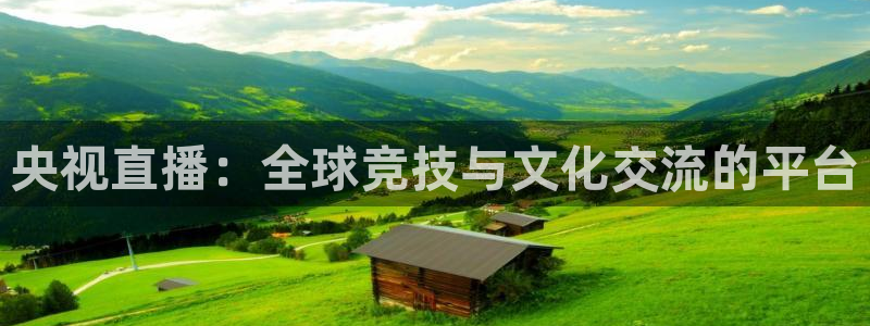 河豚体育nba在线直播：央视直播：全球竞技与文化交流的平台