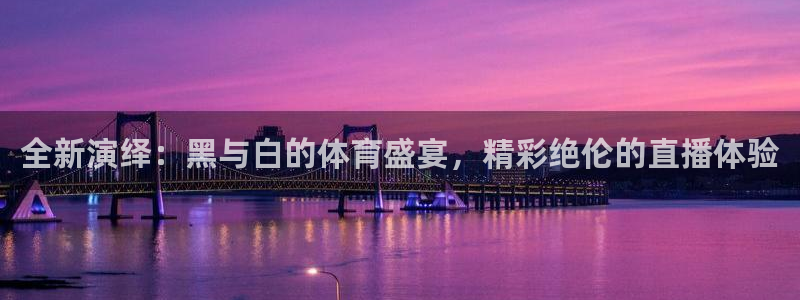 河豚nba体育直播：全新演绎：黑与白的体育盛宴，精彩绝伦的直播体验