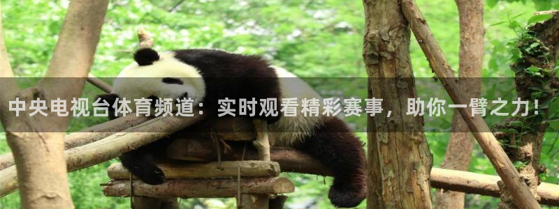 河豚体育篮球直播：中央电视台体育频道：实时观看精彩赛事，助你一臂之力！