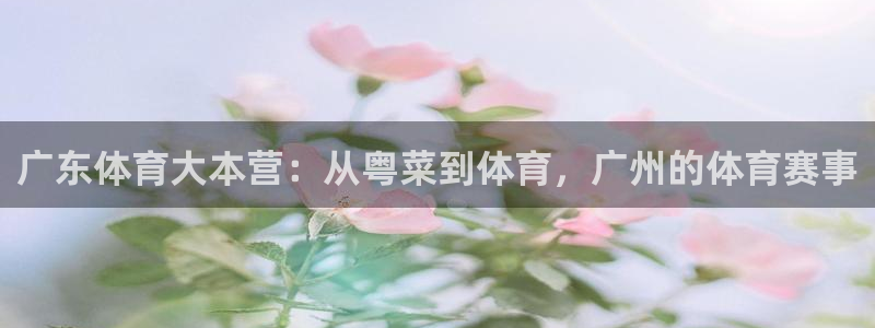 河豚篮球直播：广东体育大本营：从粤菜到体育，广州的体育赛事