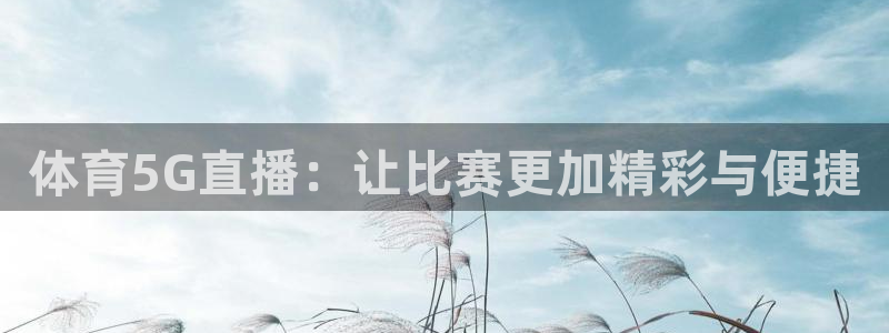 河豚的直播网：体育5G直播：让比赛更加精彩与便捷