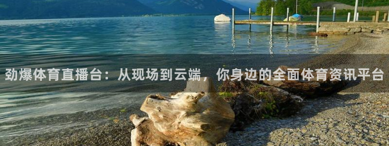 河豚直播：劲爆体育直播台：从现场到云端，你身边的全面体育资讯平台