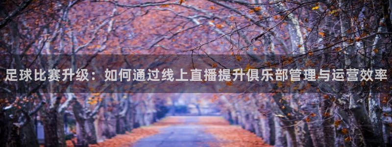 河豚足球体育直播：足球比赛升级：如何通过线上直播提升俱乐部管理与运营效率