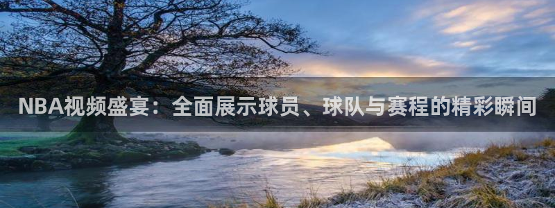 河豚nba直播官网：NBA视频盛宴：全面展示球员、球队与赛程的精彩瞬间