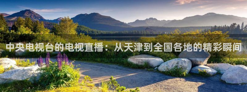 河豚nba直播：中央电视台的电视直播：从天津到全国各地的精彩瞬间