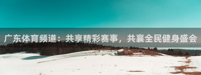 河豚在线nba直播：广东体育频道：共享精彩赛事，共襄全民健身盛会