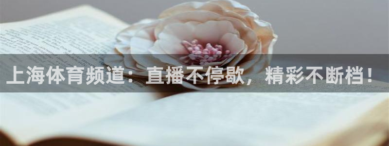 河豚体育直播免费观看：上海体育频道：直播不停歇，精彩不断档！