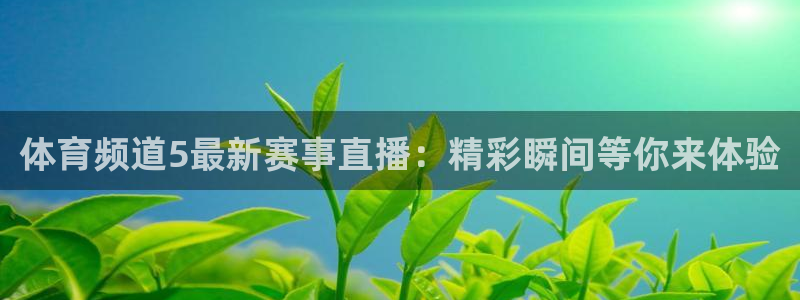 河豚体育直播：体育频道5最新赛事直播：精彩瞬间等你来体验
