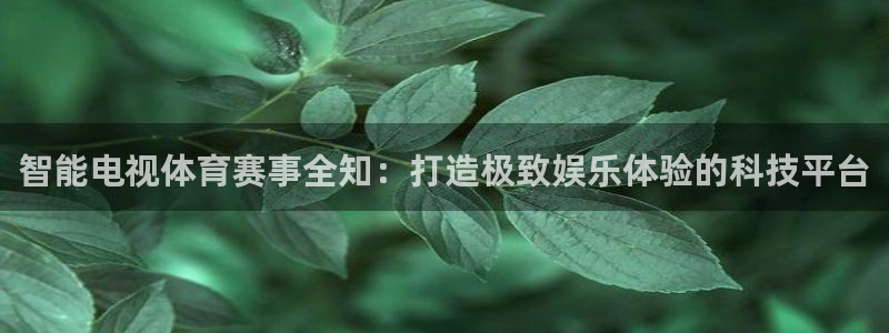 河豚河豚：智能电视体育赛事全知：打造极致娱乐体验的科技平台